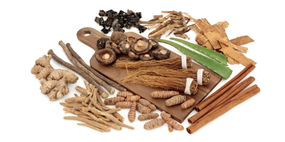 Read more about the article Article: Unlocking the Power of Adaptogens for Health and Wellness